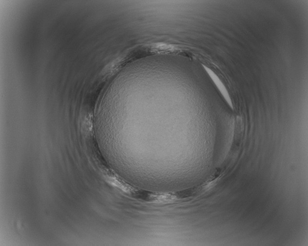 X0000080120621200612302012