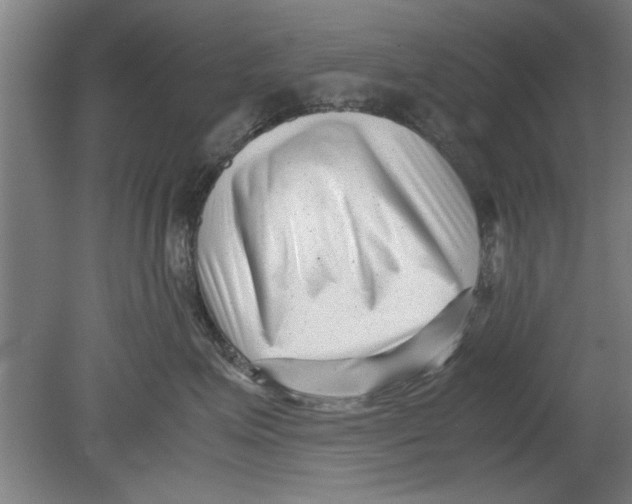 X0000080120623200612302012