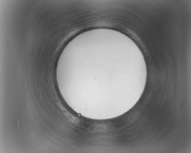 X0000080120625200612302011