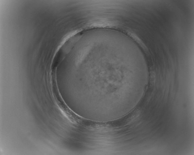 X0000080120626200612302011