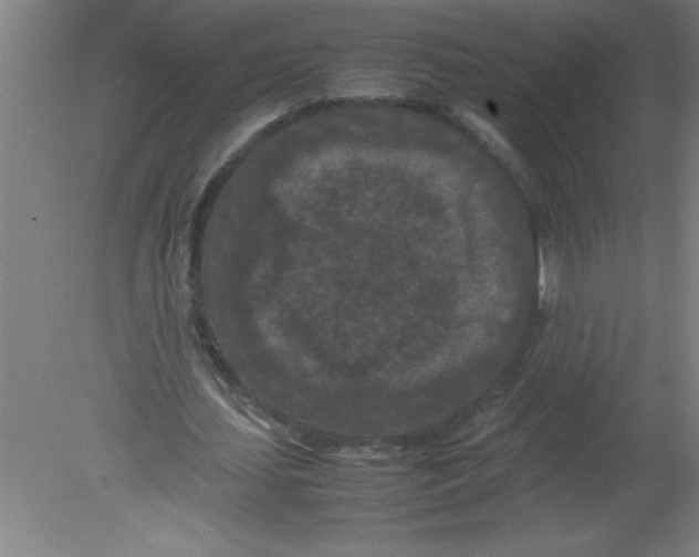 X0000080120627200612302011