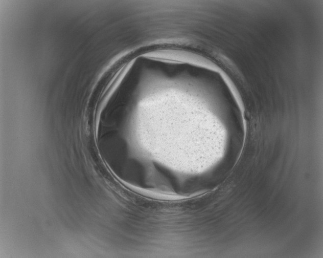 X0000080120628200612302011