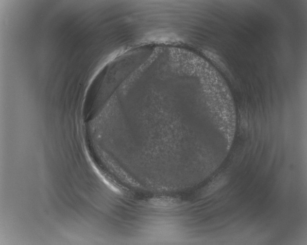 X0000080120630200612302011