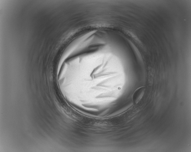 X0000080120631200612302011