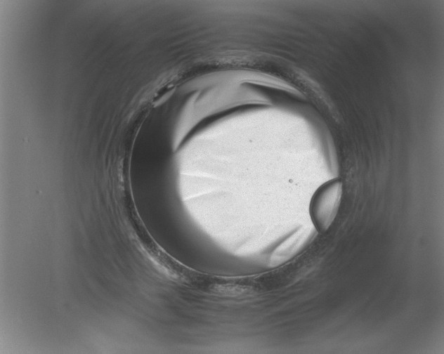 X0000080120633200612302011