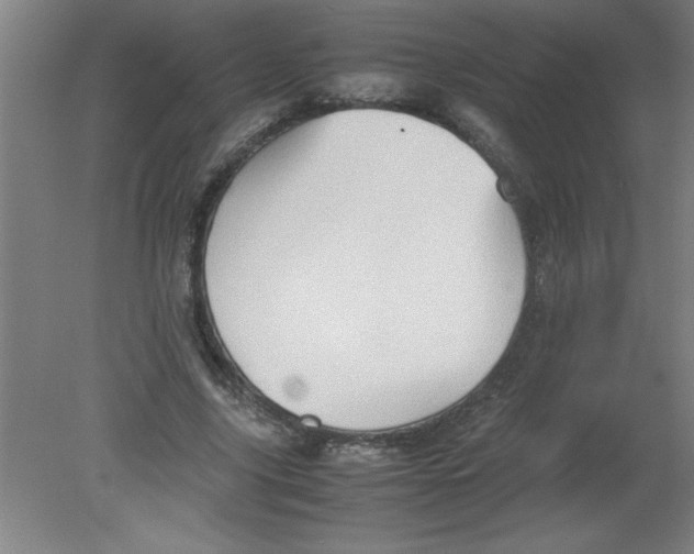 X0000080120635200612302011