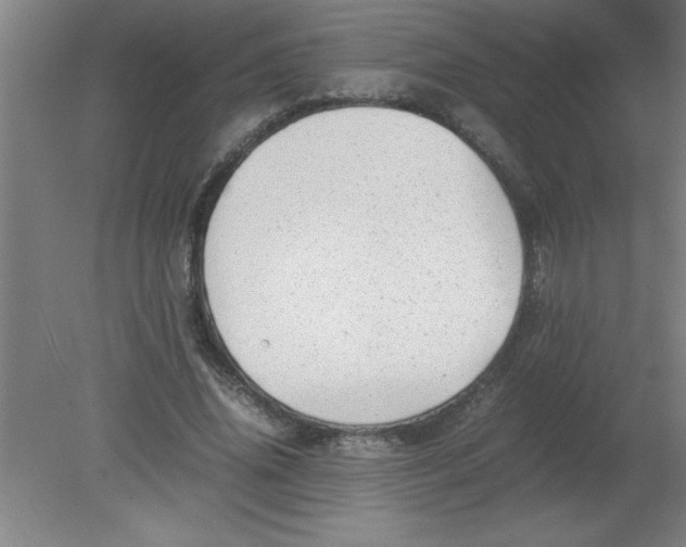 X0000080120636200612302011