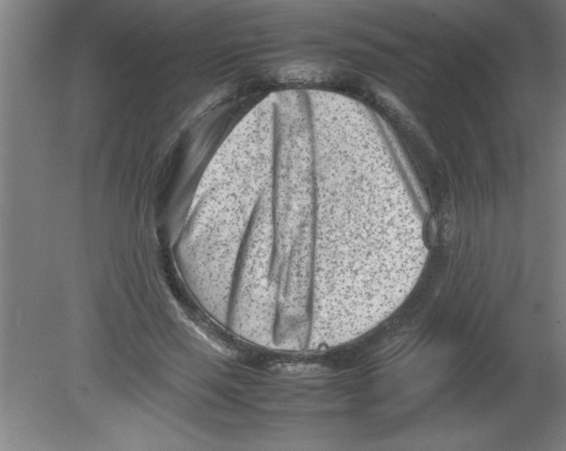 X0000080120637200612302011