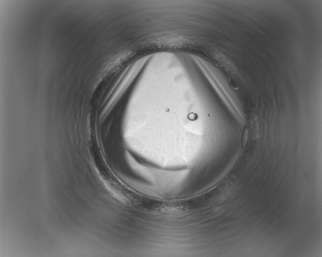 X0000080120638200612302011