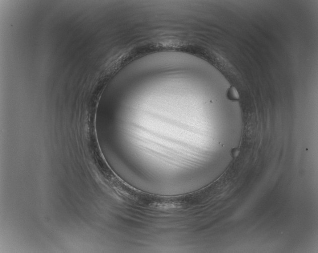 X0000080120639200612302011