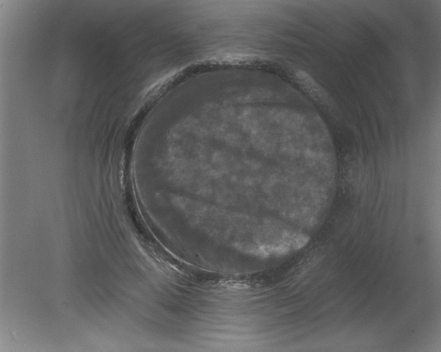 X0000080120640200612302011