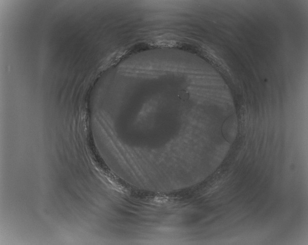 X0000080120641200612302011