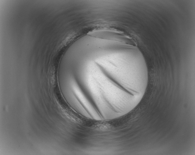 X0000080120642200612302011