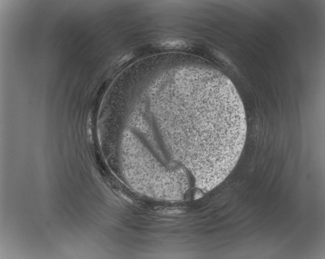 X0000080120643200612302011