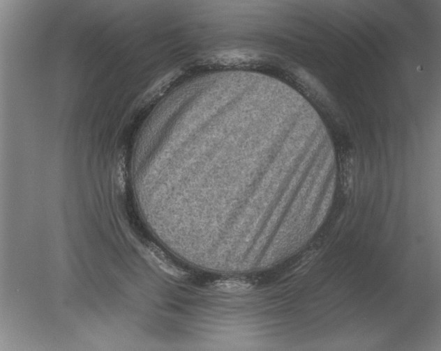 X0000080120644200612302011