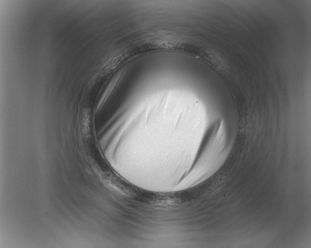 X0000080120646200612302011