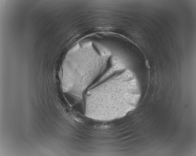 X0000080120647200612302011