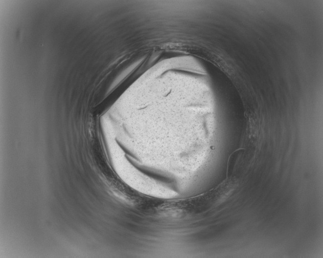 X0000080120648200612302011