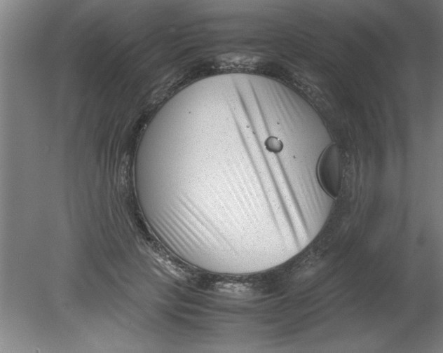 X0000080120649200612302011