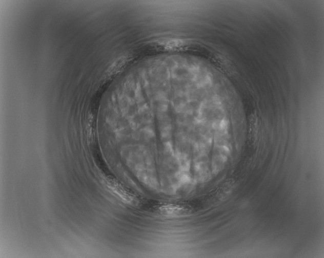 X0000080120650200612302011