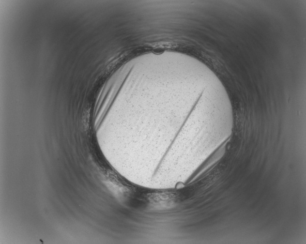 X0000080120652200612302011