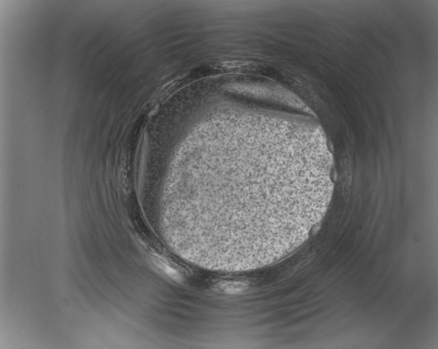 X0000080120653200612302011