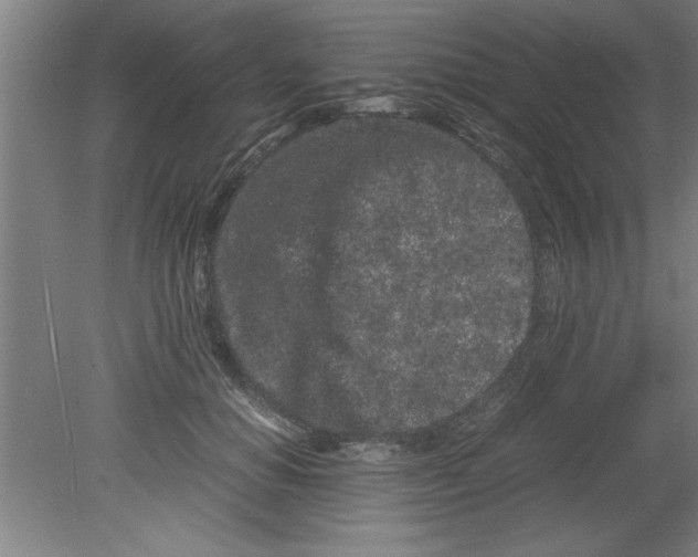 X0000080120654200612302011