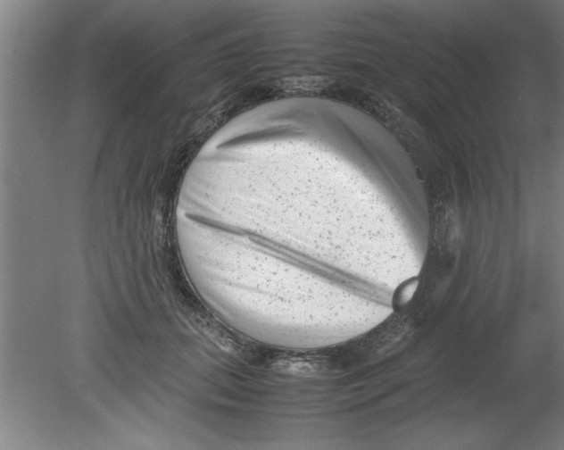 X0000080120655200612302011