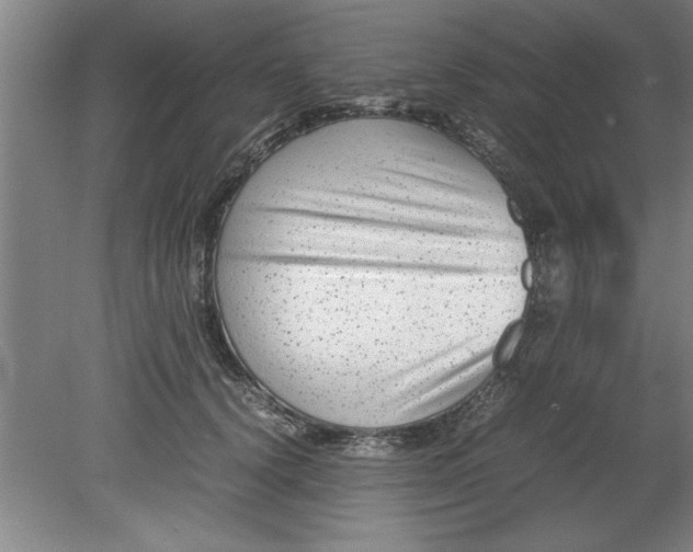 X0000080120656200612302011