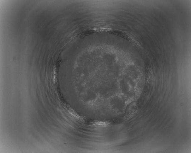 X0000080120659200612302011