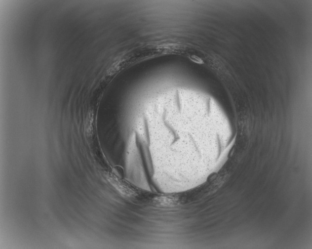 X0000080120660200612302011