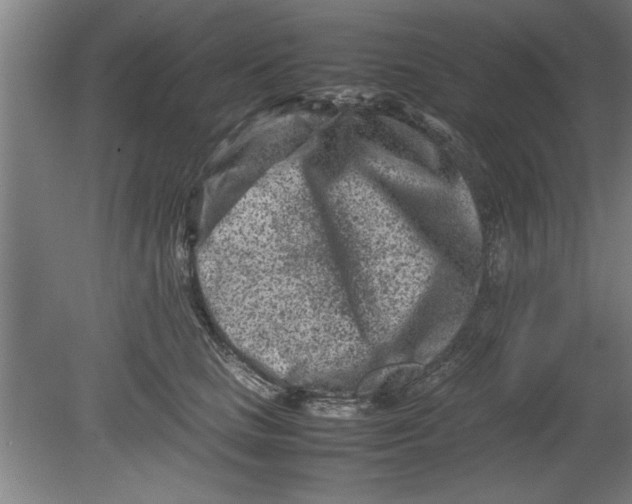 X0000080120661200612302011