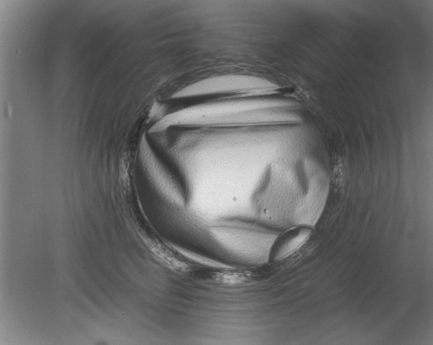 X0000080120662200612302011