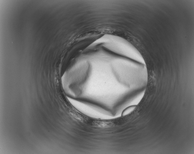 X0000080120663200612302011