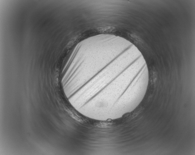 X0000080120664200612302012