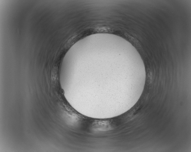 X0000080120665200612302012