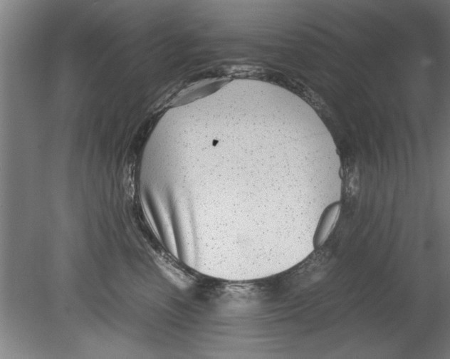 X0000080120666200612302012