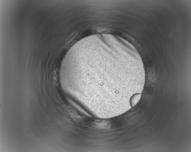 X0000080120667200612302012