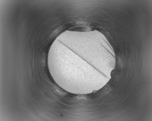 X0000080120668200612302012