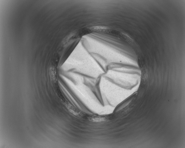 X0000080120669200612302012