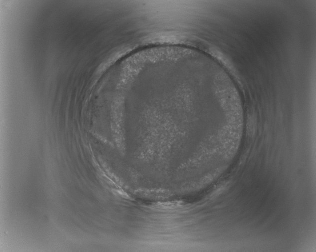 X0000080120673200612302011