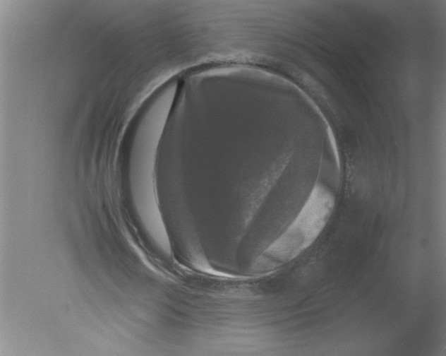 X0000080120674200612302011