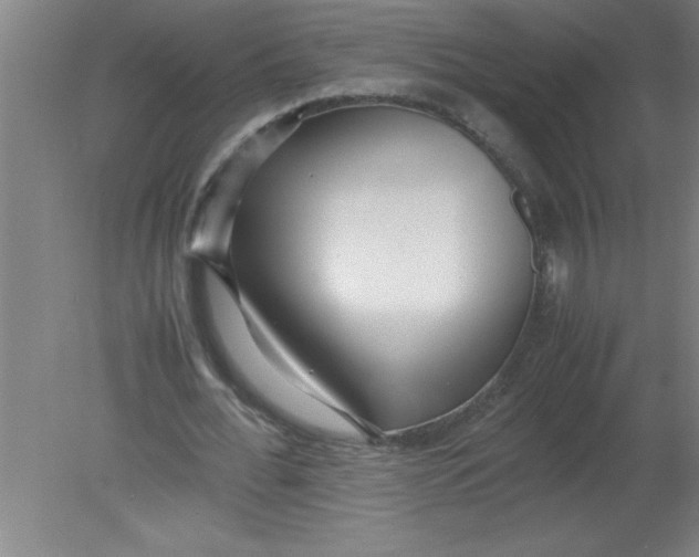 X0000080120676200612302011