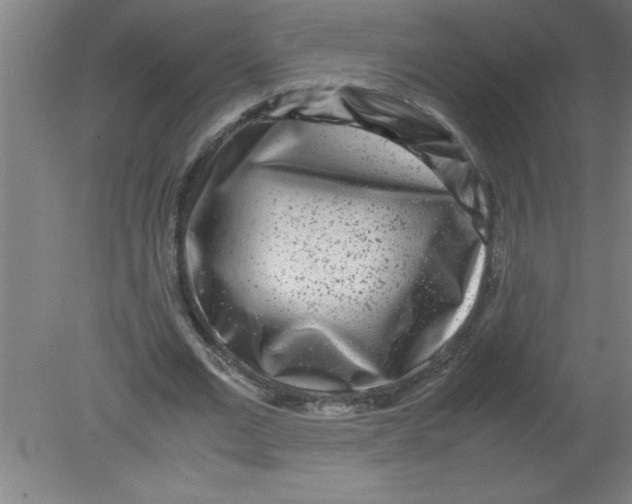 X0000080120677200612302011