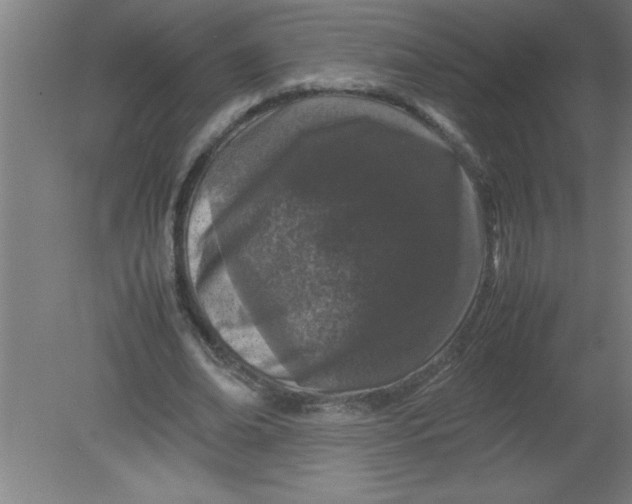 X0000080120678200612302011