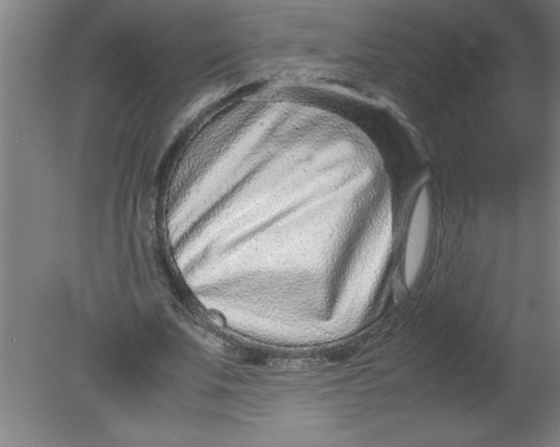 X0000080120679200612302011