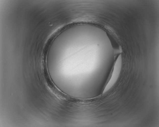 X0000080120680200612302011