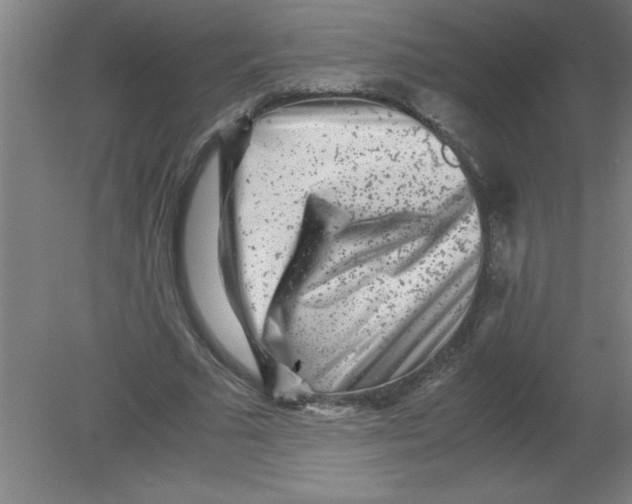 X0000080120681200612302011