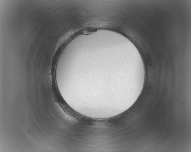 X0000080120682200612302011