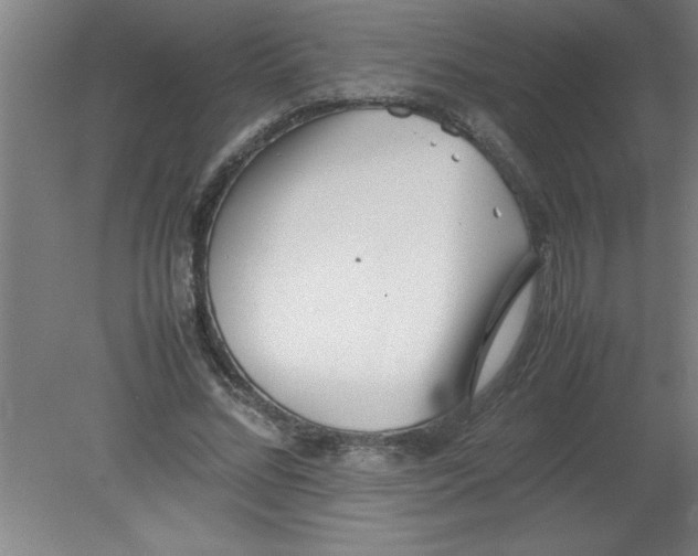 X0000080120684200612302011